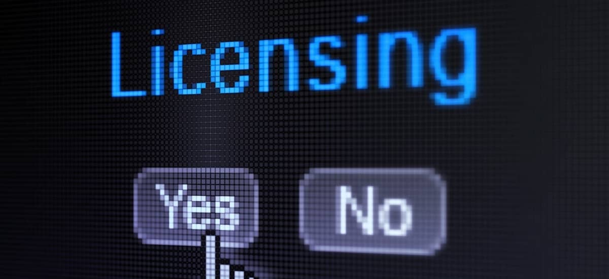 About Business Permits and Licenses in Romania